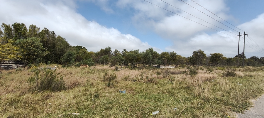 0 Bedroom Property for Sale in Greenbushes Eastern Cape